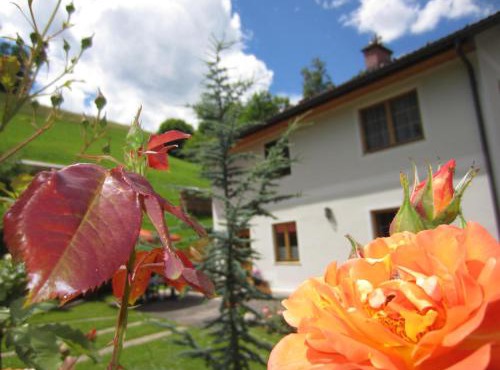 Heidi's Schlummerkiste am Fuß der Teichalm