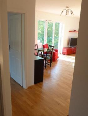 Spacious Penthouse Apartment Vindobona, panorama view to danube river & vineyard