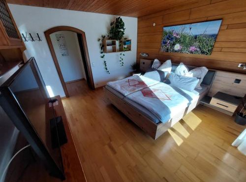 Ferienwohnung Tschengla mit eigener Sonnenterrasse - Wiese - Wlan