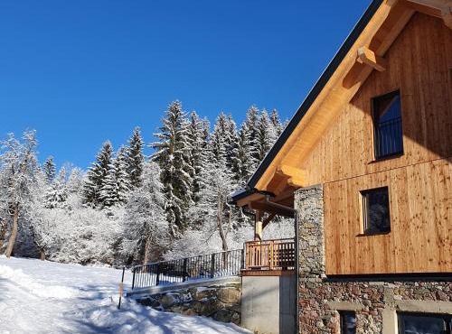 Nest Lodge