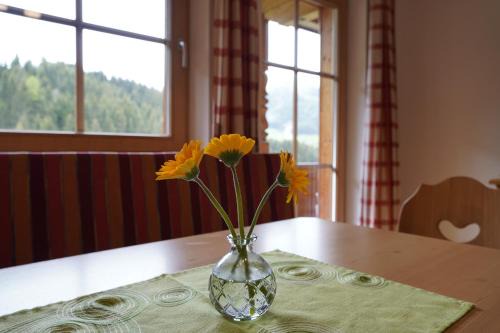 Lederer Zuhaus