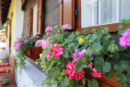 Ferienhaus Aurelia